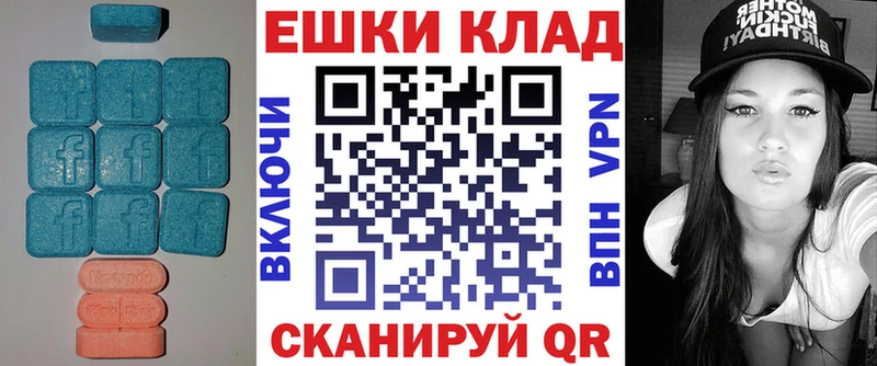Купить закладки  Жердевка  Экстази ешки 