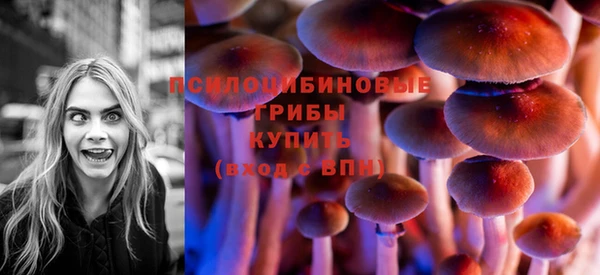 гашиш Заводоуковск