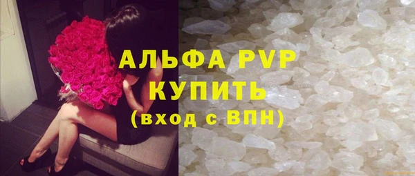 СК Зеленокумск