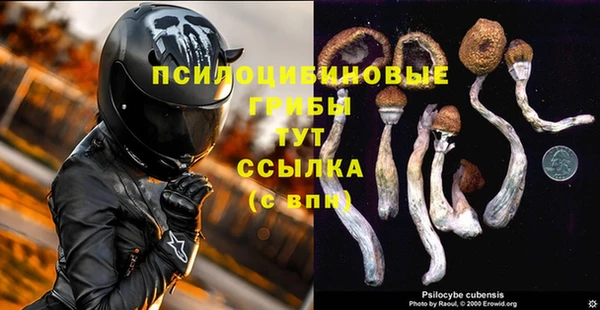 СК Зеленокумск
